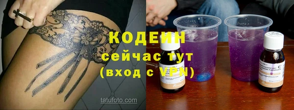 прущие грибы Абинск