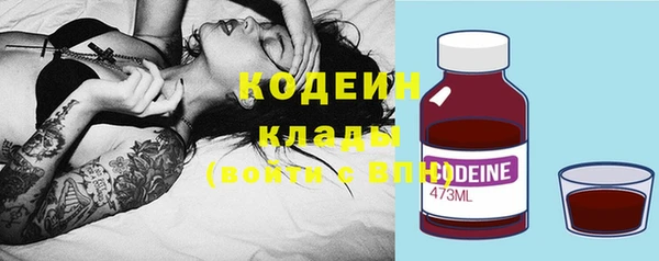 прущие грибы Абинск