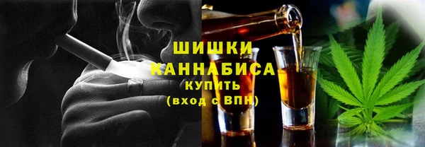 прущие грибы Абинск