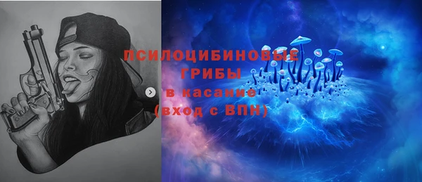 прущие грибы Абинск