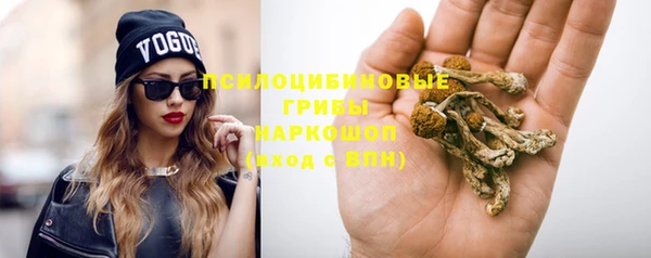 прущие грибы Абинск