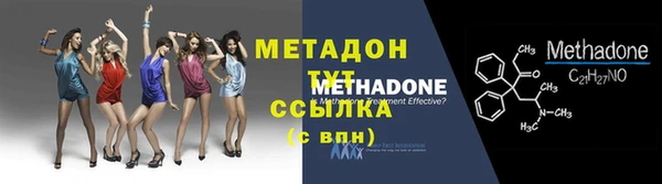 прущие грибы Абинск