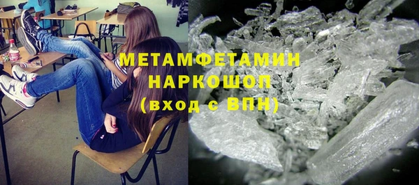 прущие грибы Абинск