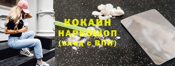 прущие грибы Абинск