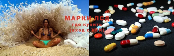 прущие грибы Абинск