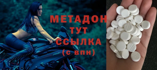 прущие грибы Абинск