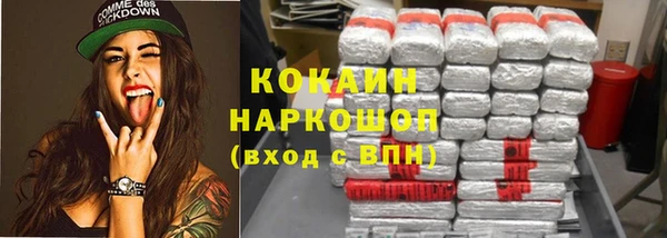 прущие грибы Абинск